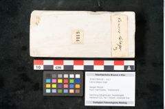Foto (Objekt + Etikett) von Laurus lalagos Unger (NHMW-GEO-2024-0188-8134)